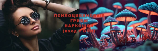 винт Ельня