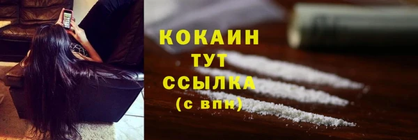 дмт Дмитровск