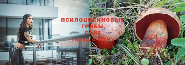 гидропоника Дмитров