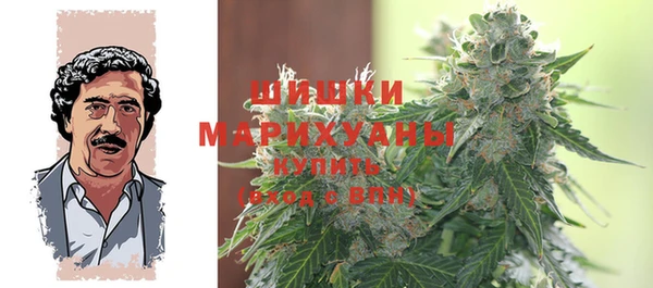 прущая мука Дмитриев