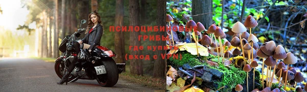 дмт Дмитровск