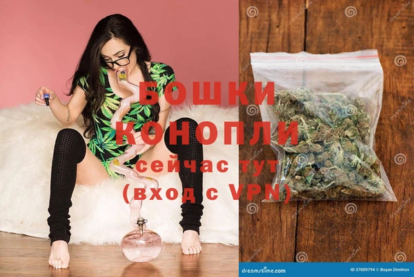 прущая мука Дмитриев