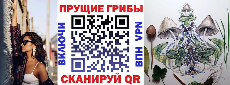 Галлюциногенные грибы мухоморы  купить   Туймазы 